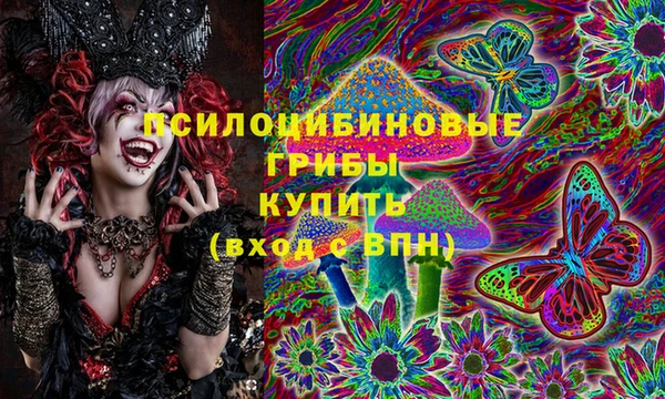 PSILOCYBIN Алексин